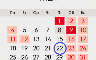 Нікола Літній у 2020 році – якого числа, дата за календарем