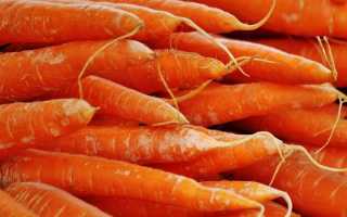 Посадка моркви в 2020 році: календар, коли садити