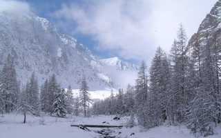 Новий 2020 рік на Алтаї: відмінне місце для любителів гірських лиж